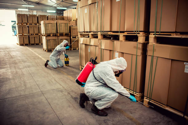 Best Mosquito Control Services  in Oakridge, OR