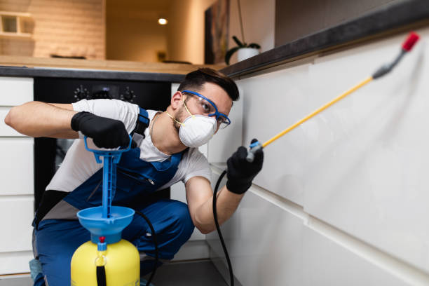 Best Pest Control Near Me  in Oakridge, OR