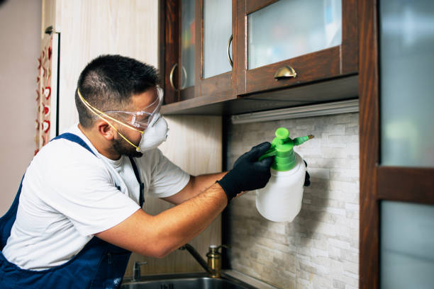 Best Ant Control Services  in Oakridge, OR