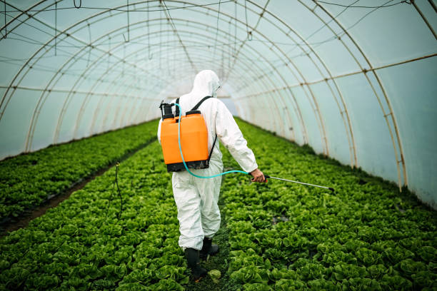 Best Pest Control Cost  in Oakridge, OR