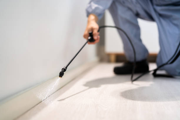 Best Pest Control Near Me  in Oakridge, OR