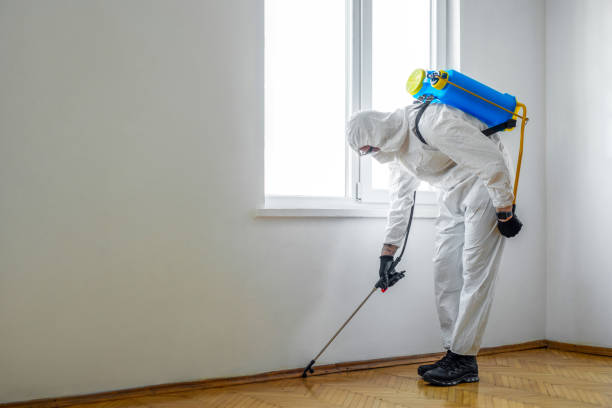 Flea Control Services in Oakridge, OR