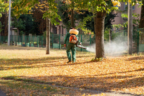 Best Rodent Control Near Me  in Oakridge, OR
