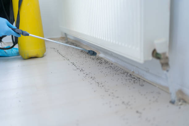 Best Pest Control Treatment  in Oakridge, OR