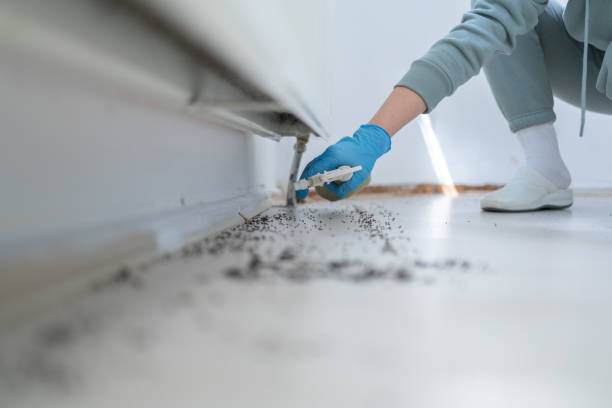 Best Mosquito Control Services  in Oakridge, OR